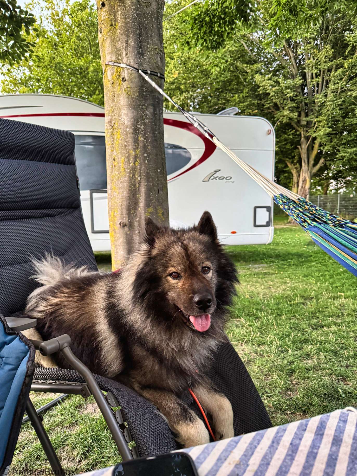 Q auf dem Relex Sessel